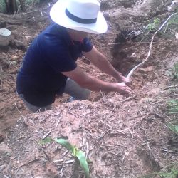 WhatsApp Image 2020-06-29 at 5.14.50 PM